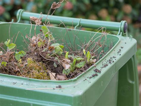 Registration Opens Soon for 2019/20 Garden Waste Service Year.